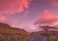 米乐APP下载-关于纽伦堡在客场带走一分，延续不败状态的信息