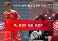 米乐M6首页-关于勒沃库森力克美因茨，一举反超对手的信息